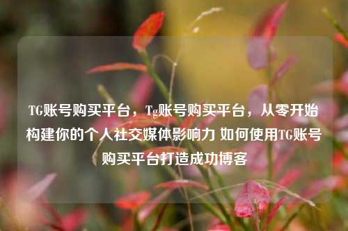 TG账号购买平台，Tg账号购买平台，从零开始构建你的个人社交媒体影响力 如何使用TG账号购买平台打造成功博客  第1张