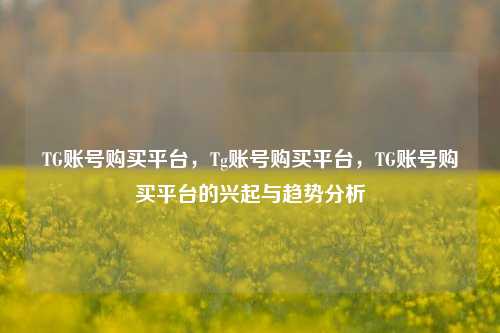 TG账号购买平台，Tg账号购买平台，TG账号购买平台的兴起与趋势分析