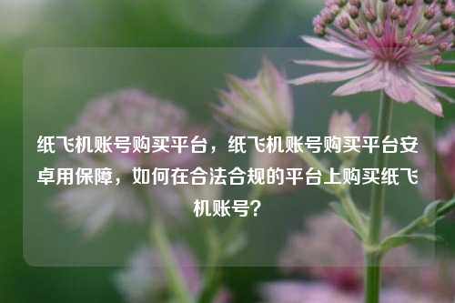 纸飞机账号购买平台，纸飞机账号购买平台安卓用保障，如何在合法合规的平台上购买纸飞机账号？