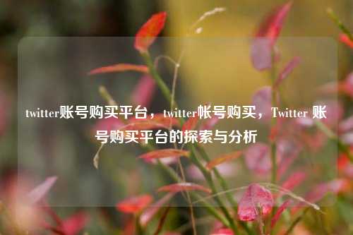 twitter账号购买平台，twitter帐号购买，Twitter 账号购买平台的探索与分析