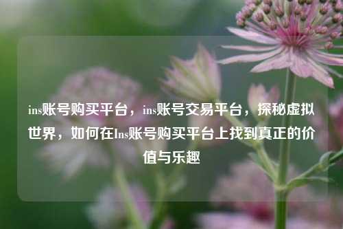 ins账号购买平台，ins账号交易平台，探秘虚拟世界，如何在Ins账号购买平台上找到真正的价值与乐趣