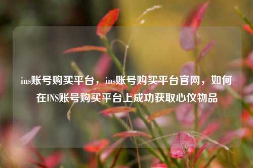ins账号购买平台，ins账号购买平台官网，如何在INS账号购买平台上成功获取心仪物品