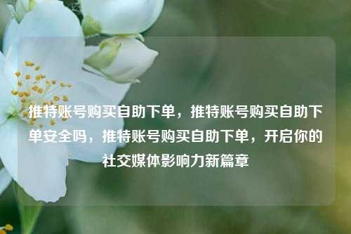 推特账号购买自助下单，推特账号购买自助下单安全吗，推特账号购买自助下单，开启你的社交媒体影响力新篇章