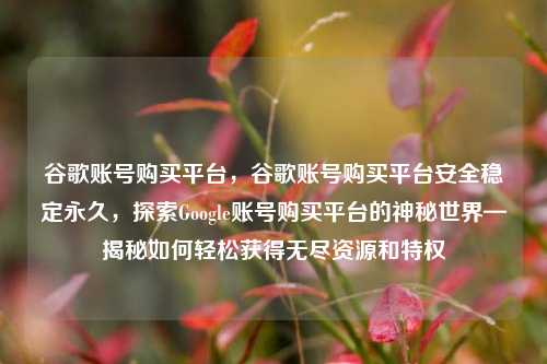 谷歌账号购买平台，谷歌账号购买平台安全稳定永久，探索Google账号购买平台的神秘世界—揭秘如何轻松获得无尽资源和特权