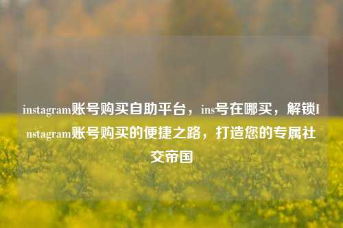 instagram账号购买自助平台，ins号在哪买，解锁Instagram账号购买的便捷之路，打造您的专属社交帝国