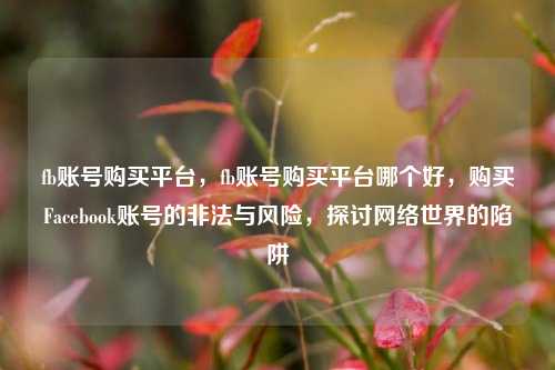 fb账号购买平台，fb账号购买平台哪个好，购买Facebook账号的非法与风险，探讨网络世界的陷阱
