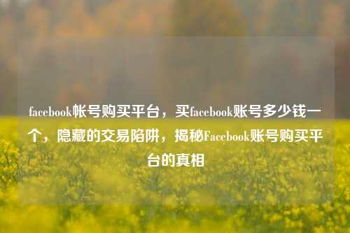 facebook帐号购买平台，买facebook账号多少钱一个，隐藏的交易陷阱，揭秘Facebook账号购买平台的真相