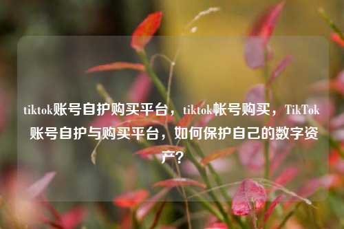 tiktok账号自护购买平台，tiktok帐号购买，TikTok 账号自护与购买平台，如何保护自己的数字资产？