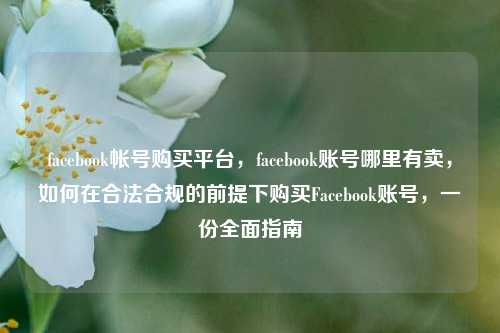 facebook帐号购买平台，facebook账号哪里有卖，如何在合法合规的前提下购买Facebook账号，一份全面指南