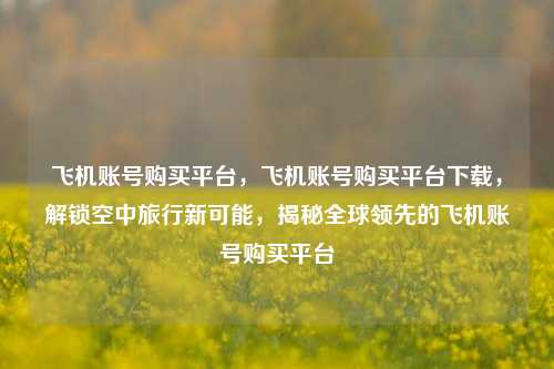 飞机账号购买平台，飞机账号购买平台下载，解锁空中旅行新可能，揭秘全球领先的飞机账号购买平台