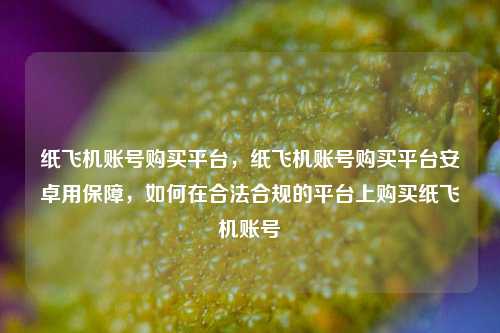 纸飞机账号购买平台，纸飞机账号购买平台安卓用保障	，如何在合法合规的平台上购买纸飞机账号  第1张