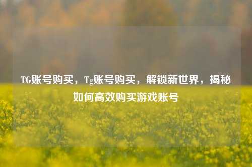 TG账号购买，Tg账号购买，解锁新世界，揭秘如何高效购买游戏账号