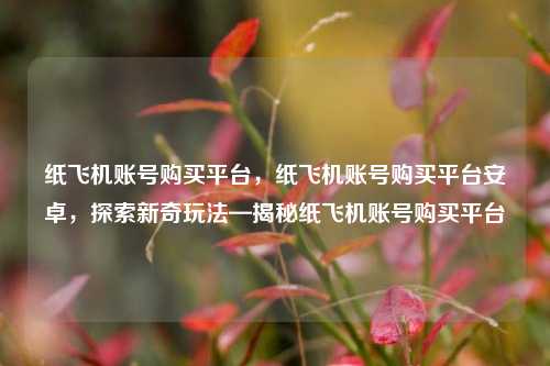 纸飞机账号购买平台，纸飞机账号购买平台安卓，探索新奇玩法—揭秘纸飞机账号购买平台