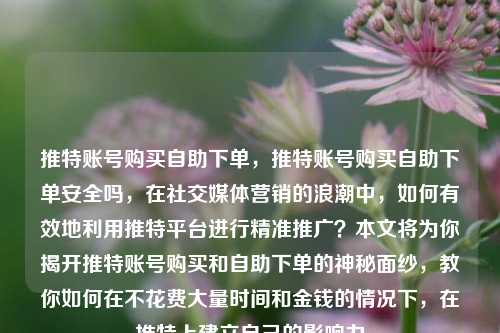 推特账号购买自助下单，推特账号购买自助下单安全吗，在社交媒体营销的浪潮中，如何有效地利用推特平台进行精准推广？本文将为你揭开推特账号购买和自助下单的神秘面纱，教你如何在不花费大量时间和金钱的情况下，在推特上建立自己的影响力