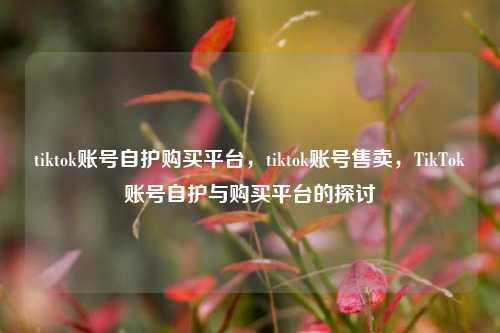 tiktok账号自护购买平台，tiktok账号售卖，TikTok账号自护与购买平台的探讨