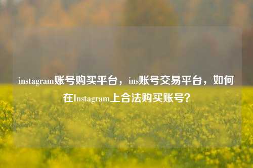 instagram账号购买平台，ins账号交易平台，如何在Instagram上合法购买账号？