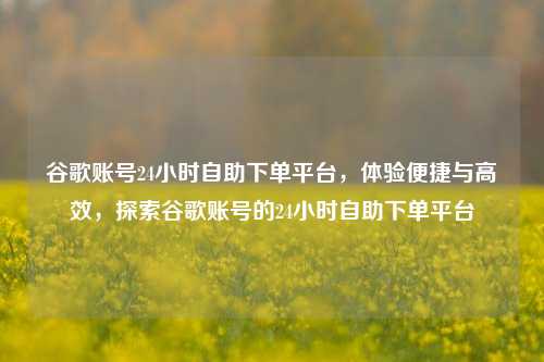 谷歌账号24小时自助下单平台，体验便捷与高效，探索谷歌账号的24小时自助下单平台