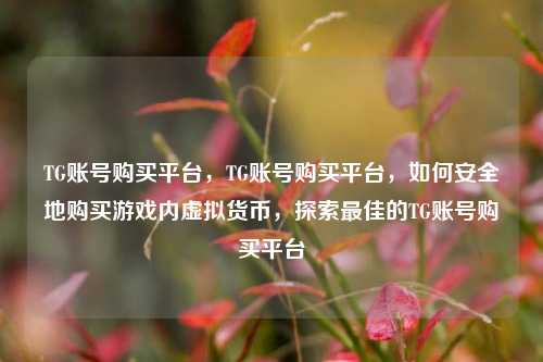 TG账号购买平台，TG账号购买平台，如何安全地购买游戏内虚拟货币，探索最佳的TG账号购买平台
