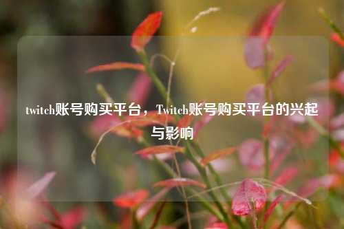 twitch账号购买平台，Twitch账号购买平台的兴起与影响