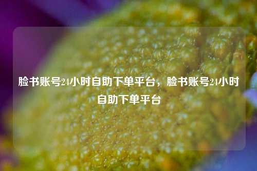 脸书账号24小时自助下单平台，脸书账号24小时自助下单平台  第1张