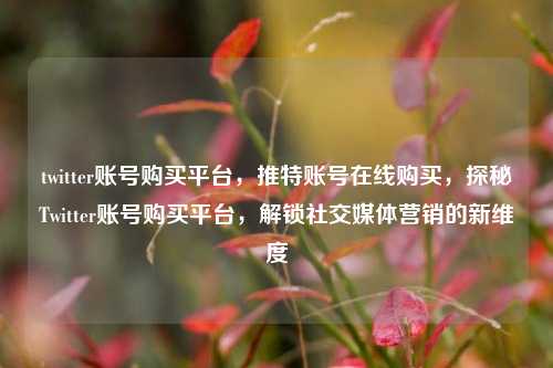 twitter账号购买平台，推特账号在线购买，探秘Twitter账号购买平台，解锁社交媒体营销的新维度