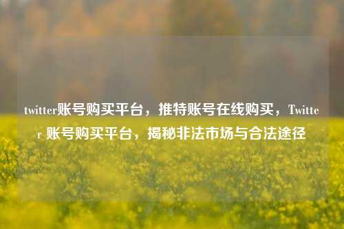 twitter账号购买平台，推特账号在线购买，Twitter 账号购买平台，揭秘非法市场与合法途径