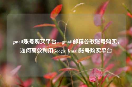 gmail账号购买平台，gmail邮箱谷歌账号购买，如何高效利用Google Gmail账号购买平台