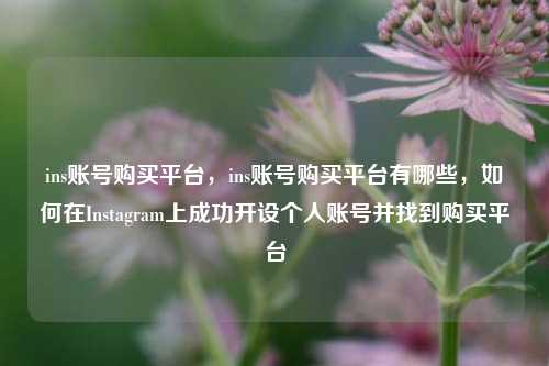 ins账号购买平台，ins账号购买平台有哪些，如何在Instagram上成功开设个人账号并找到购买平台