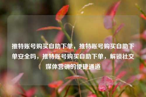 推特账号购买自助下单，推特账号购买自助下单安全吗，推特账号购买自助下单，解锁社交媒体营销的便捷通道