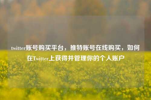 twitter账号购买平台，推特账号在线购买	，如何在Twitter上获得并管理你的个人账户  第1张