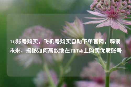 TG账号购买，飞机号购买自助下单官网，解锁未来，揭秘如何高效地在TikTok上购买优质账号