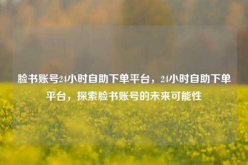 脸书账号24小时自助下单平台，24小时自助下单平台，探索脸书账号的未来可能性