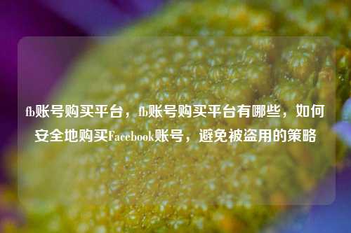 fb账号购买平台，fb账号购买平台有哪些，如何安全地购买Facebook账号，避免被盗用的策略