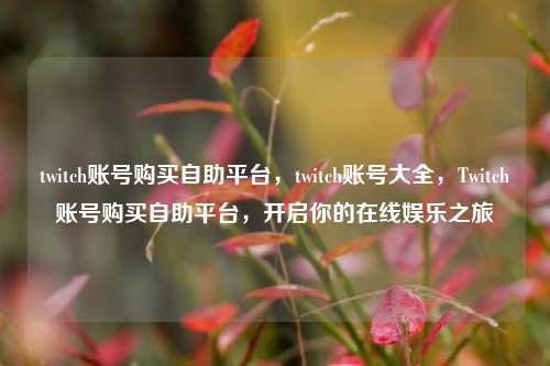 twitch账号购买自助平台	，twitch账号大全，Twitch账号购买自助平台，开启你的在线娱乐之旅  第1张