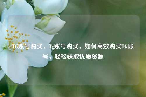 TG账号购买，Tg账号购买，如何高效购买TG账号，轻松获取优质资源