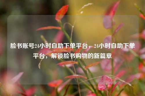 脸书账号24小时自助下单平台，24小时自助下单平台，解锁脸书购物的新篇章