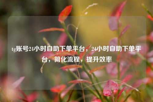 tg账号24小时自助下单平台，24小时自助下单平台，简化流程，提升效率