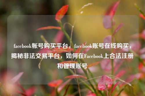 facebook帐号购买平台，facebook账号在线购买，揭秘非法交易平台，如何在Facebook上合法注册和管理账号