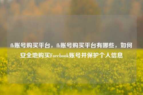 fb账号购买平台，fb账号购买平台有哪些，如何安全地购买Facebook账号并保护个人信息