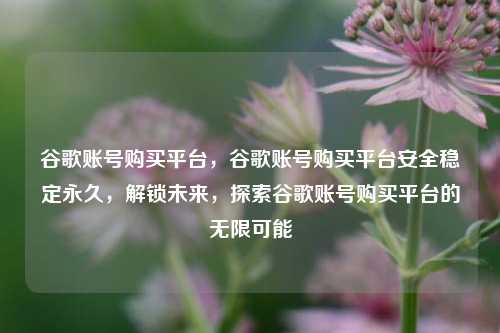 谷歌账号购买平台，谷歌账号购买平台安全稳定永久，解锁未来，探索谷歌账号购买平台的无限可能