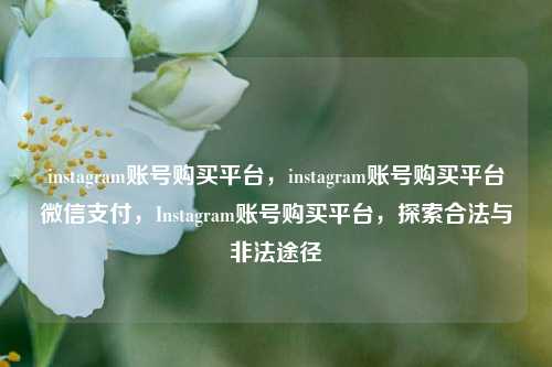 instagram账号购买平台，instagram账号购买平台微信支付，Instagram账号购买平台，探索合法与非法途径