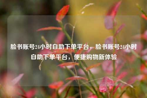 脸书账号24小时自助下单平台，脸书账号24小时自助下单平台，便捷购物新体验