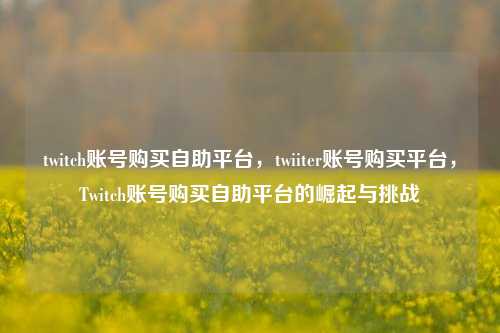 twitch账号购买自助平台，twiiter账号购买平台	，Twitch账号购买自助平台的崛起与挑战  第1张