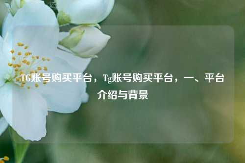 TG账号购买平台，Tg账号购买平台，一、平台介绍与背景