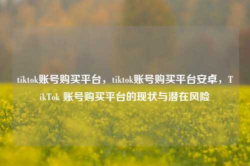 tiktok账号购买平台，tiktok账号购买平台安卓，TikTok 账号购买平台的现状与潜在风险
