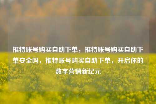 推特账号购买自助下单，推特账号购买自助下单安全吗，推特账号购买自助下单，开启你的数字营销新纪元