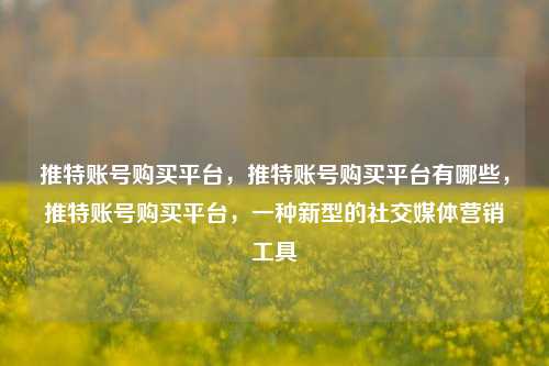 推特账号购买平台，推特账号购买平台有哪些，推特账号购买平台，一种新型的社交媒体营销工具