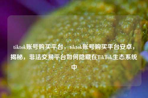 tiktok账号购买平台，tiktok账号购买平台安卓，揭秘，非法交易平台如何隐藏在TikTok生态系统中
