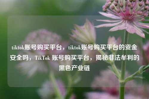tiktok账号购买平台，tiktok账号购买平台的资金安全吗，TikTok 账号购买平台，揭秘非法牟利的黑色产业链