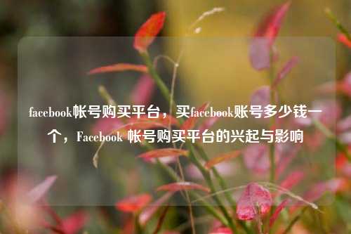 facebook帐号购买平台，买facebook账号多少钱一个，Facebook 帐号购买平台的兴起与影响